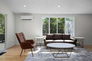 TV, fireplace, books, offices - Finger Lakes ~ Firepit, Pet Friendly, Wine Country (Skaneateles)