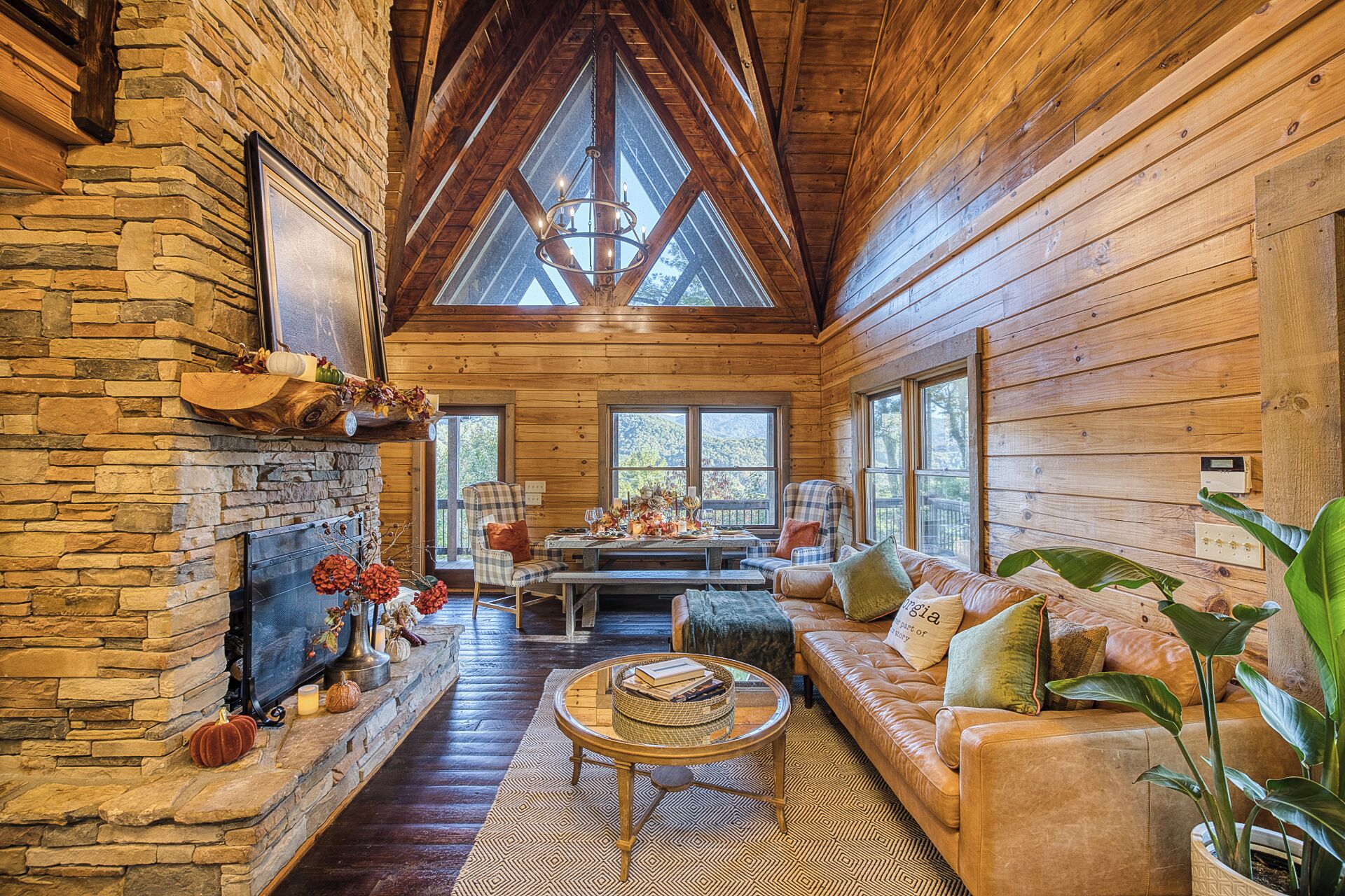 Smart-tv, pejs, bøger, stereoanlæg