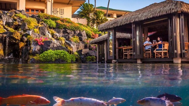 Una piscina de resort con agua cristalina, rodeada por un paisaje rocoso y un edificio con techo de paja.