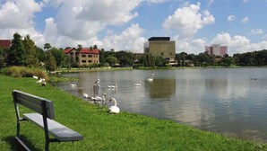 A park with a lake, swans, a bench, and buildings in the background. - Studio Apartment w/ King Bed & Kitchenette (Lakeland)