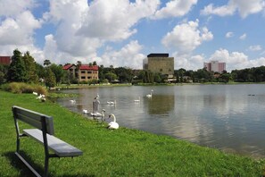 المنطقة المحيطة بالمنشأة