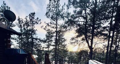 Secluded and Cozy Log Cabin /w Hot Tub + Fire Pit