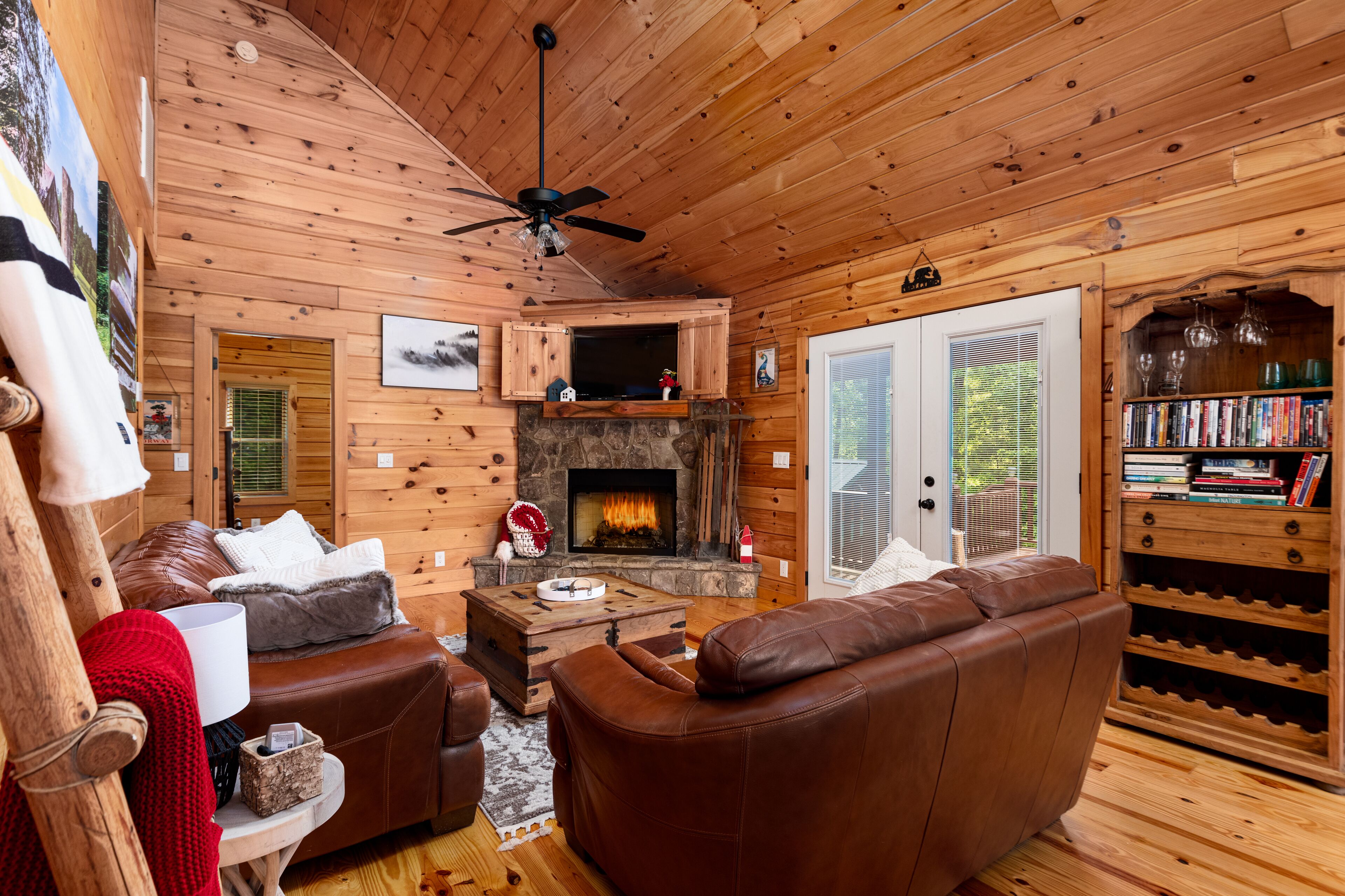 Smart TV, fireplace, DVD player, books