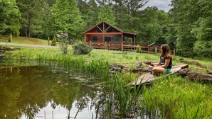 A cabin with a deck, surrounded by a pond and dense forest. - Cabin Blue Ridge-Murphy area, fast wifi, dog & family friendly, trail & hot tub! (Murphy)