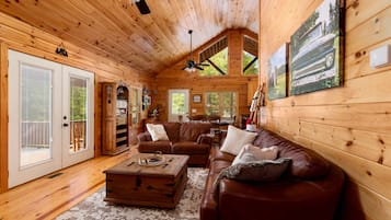 Smart TV, fireplace, DVD player, books