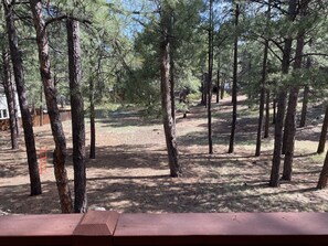 Property grounds - Bunk-Bed House Nestled in the Trees (Flagstaff)
