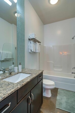 Combined shower/tub, hair dryer, towels, shampoo