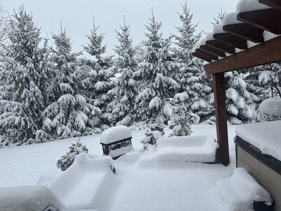 Gorgeous newer 2 story house in friendly neighborhood w salt water hot tub