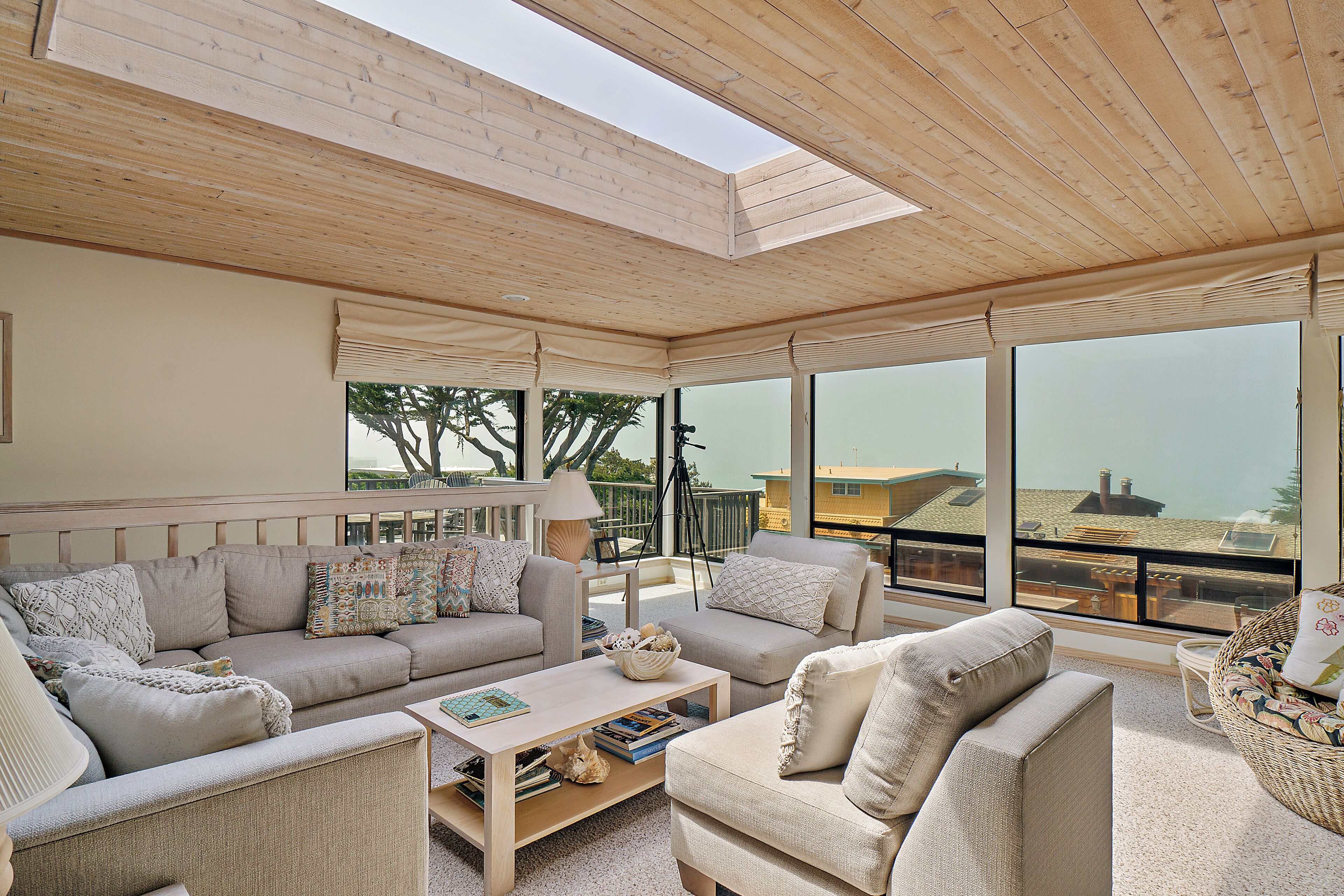 Televisión, chimenea y reproductor de DVD 