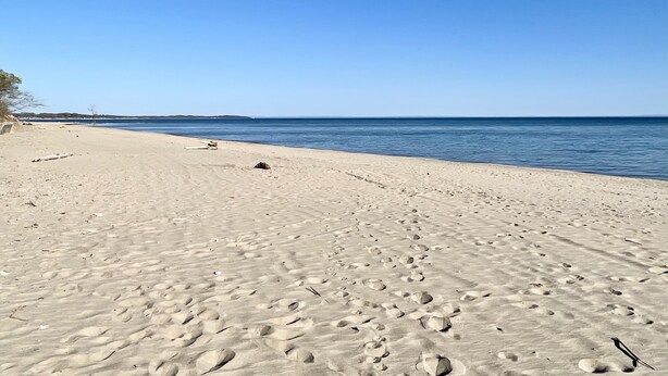 Una playa arenosa con huellas y un cielo azul despejado.