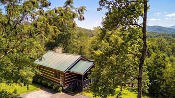 A cabin with a metal roof, surrounded by dense forest and a clear sky.