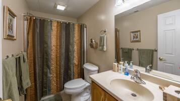 Combined shower/bathtub