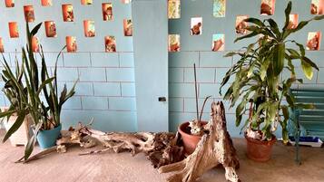 The Palms | Vista para o jardim