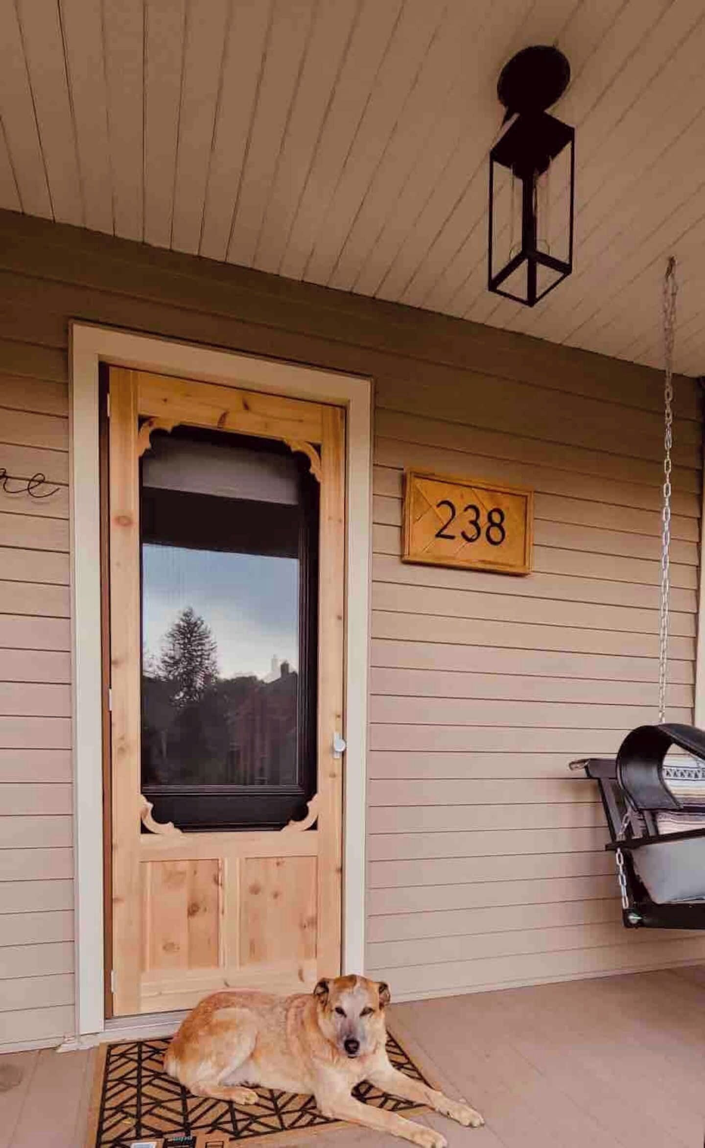 A wooden door with a number '238' above it, a dog lying on a mat in front, and a hanging lantern above.