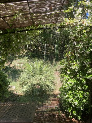 Overnattingsstedets uteområder