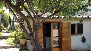 Ein kleines Gebäude mit einer Holztür und -fenstern, umgeben von einem Garten mit einem Baum und einem Blumentopf.