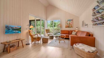 Smart TV, chimenea y libros