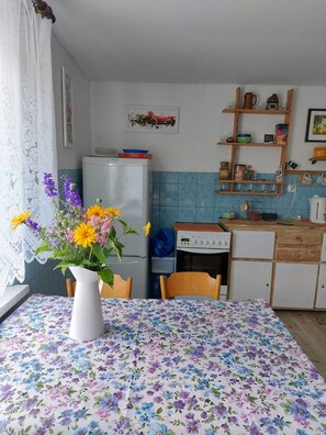 Fridge, oven, electric kettle, cookware/dishes/utensils - Countryside house next to Borek forest (Szwalk)