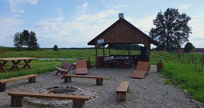 Countryside house next to Borek forest