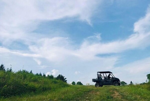 A vehicle on a grassy field with a clear sky. - Quaint little home (La Grange)