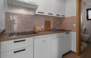 Frigorífico, placa de cocina, lavavajillas y cafetera o tetera