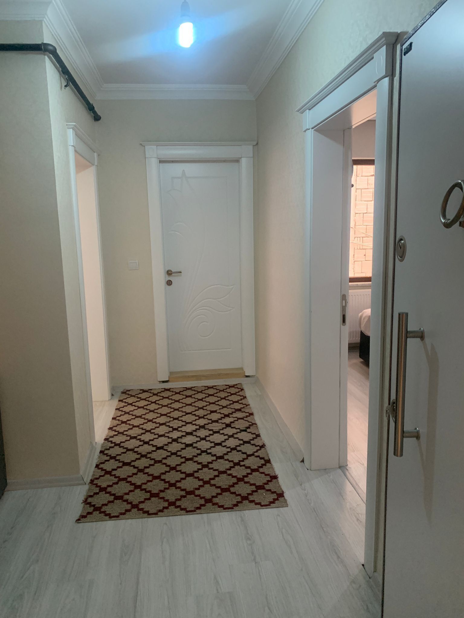 Un pasillo con un tapete estampado, una puerta blanca y un marco de puerta metálico.