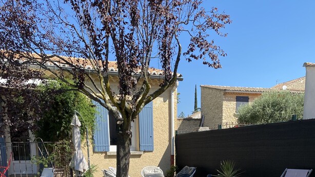 Zwembad met ligbedden en een boom in een achtertuin.