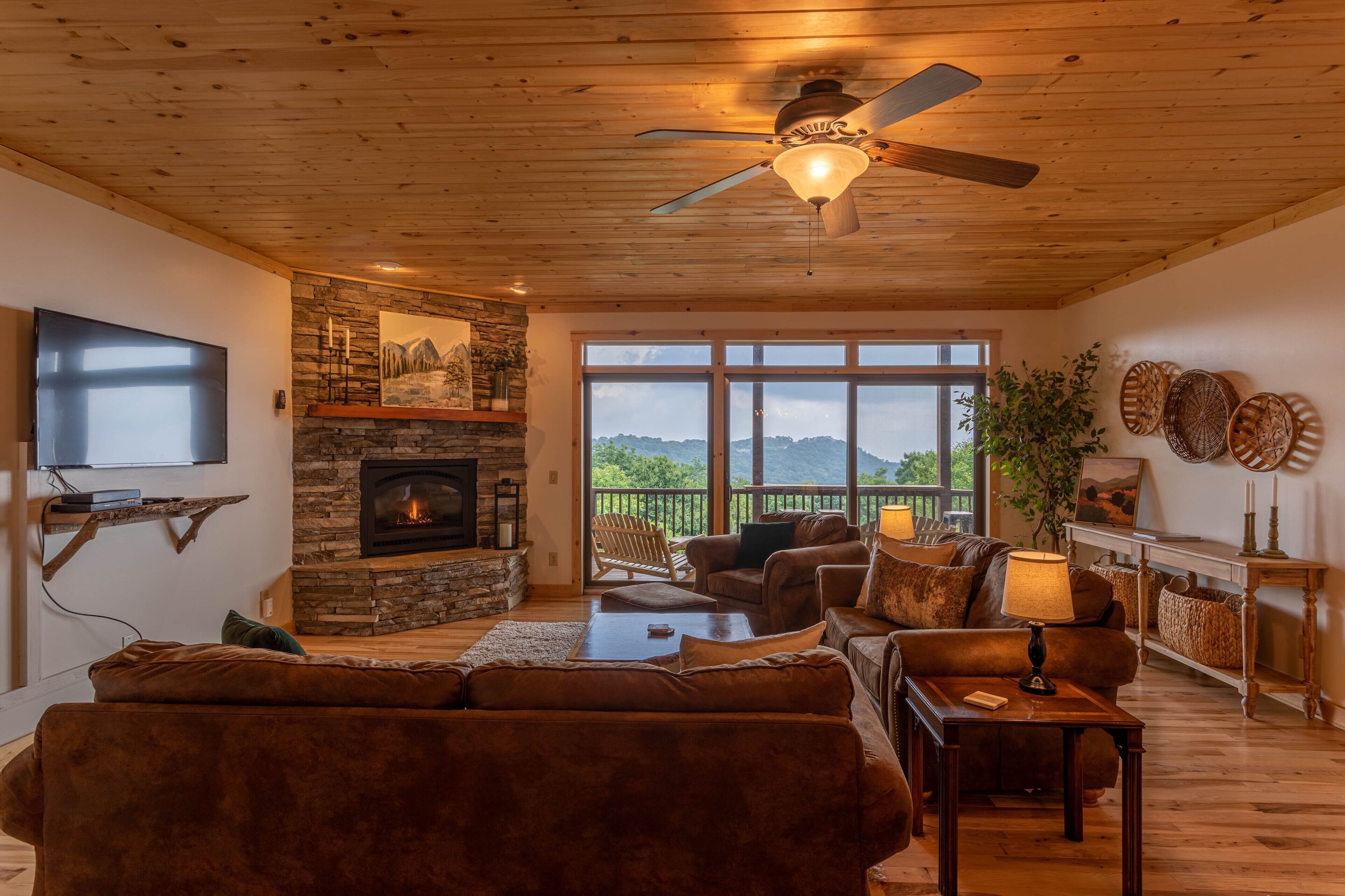 電視、壁爐、書籍