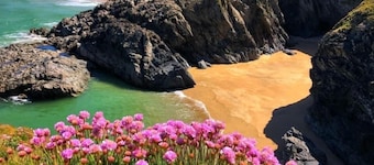 러블리 홀리데이 홈 NR 카낸스 코브