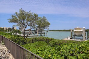 Une propriété située au bord de l’eau, avec un quai, un bateau et un arbre au premier plan.