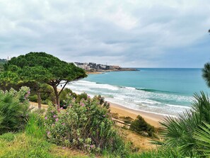 Playa en los alrededores 