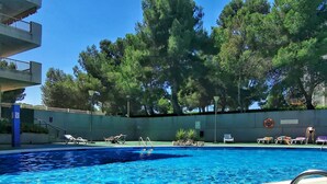 Ein Swimmingpool mit klarem, blauem Wasser, umgeben von Liegestühlen und einer niedrigen Mauer mit Bäumen.