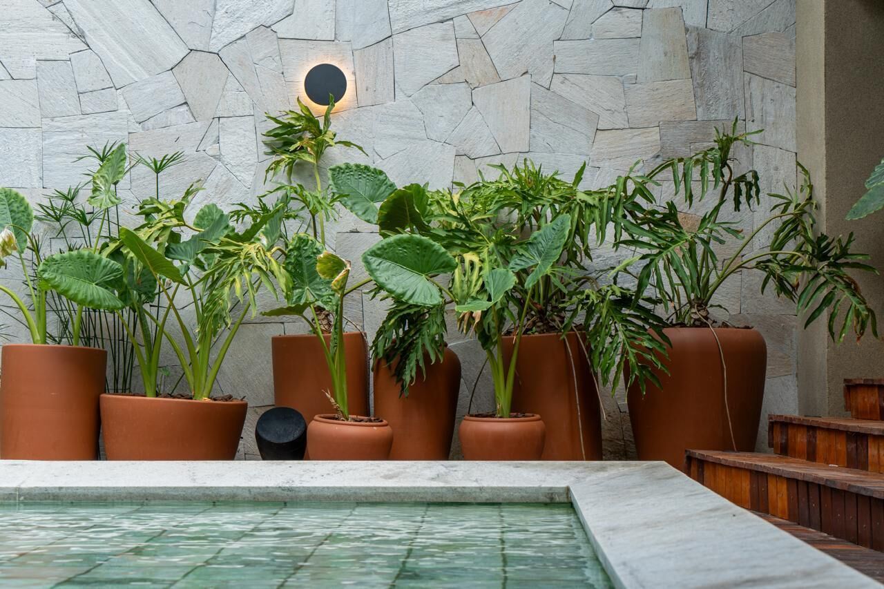 Zona de piscina con macetas de terracota con plantas verdes variadas, un muro de piedra con una lámpara circular y un banco de madera.