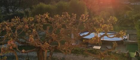 Terrain de lâhĂ©bergement