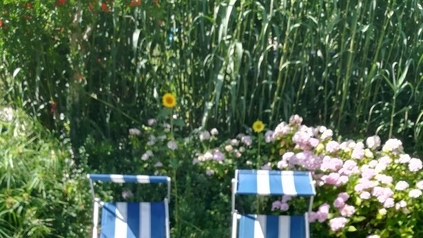 Two blue and white striped lounge chairs with cushions, a small table with a bottle and glasses, and a garden with flowers and grass.