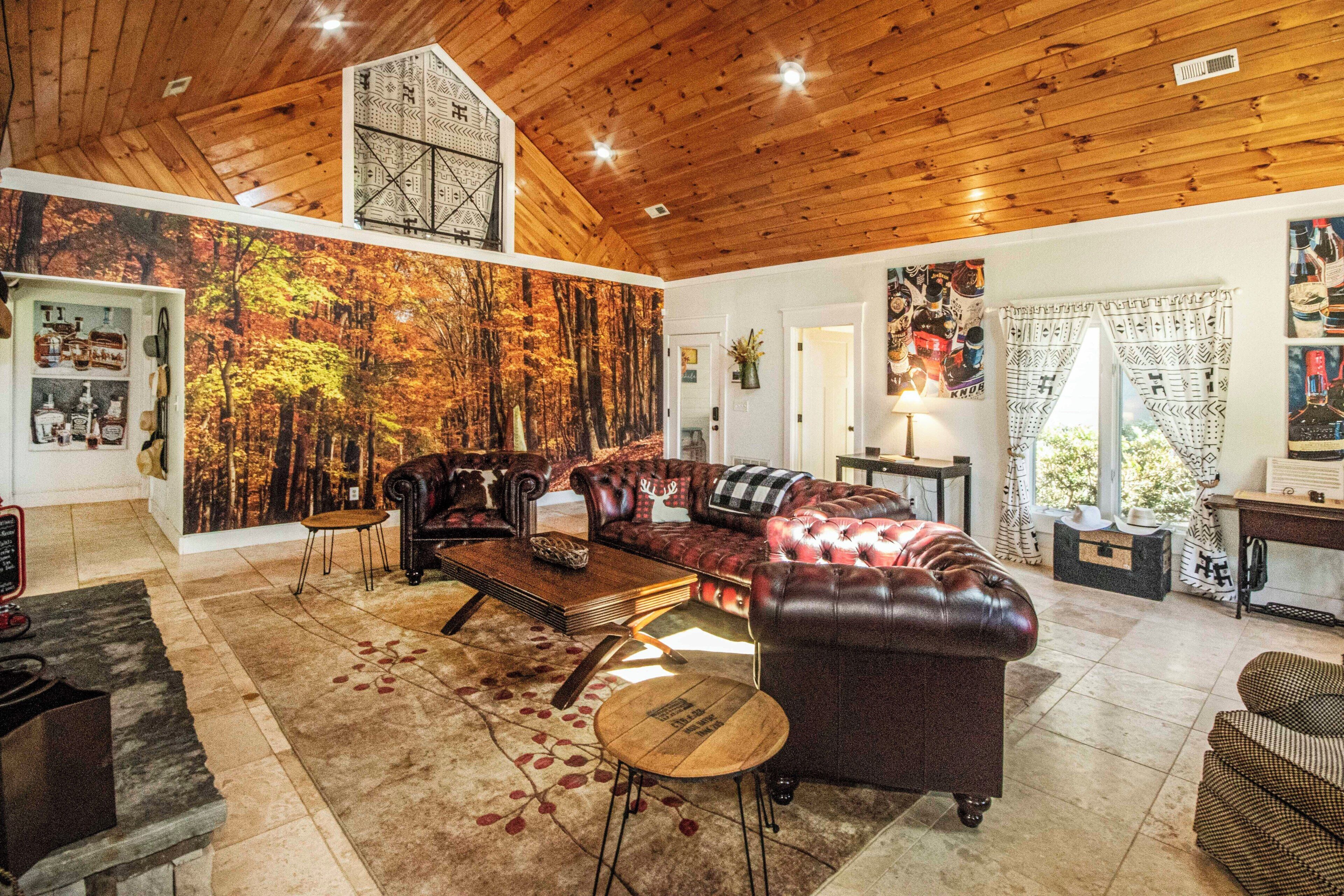 TV connectée, cheminée, jeux vidéo, livres