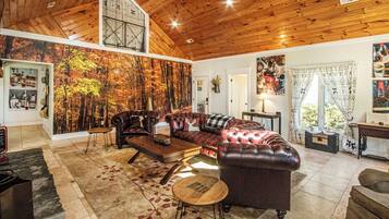 TV connectée, cheminée, jeux vidéo, livres