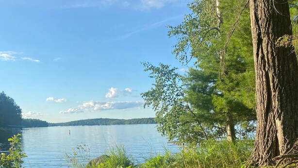 Una fogata rodeada de rocas, un área con césped y un lago con árboles al fondo.