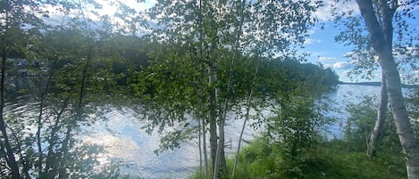 A serene lakeside view with trees and a clear sky.