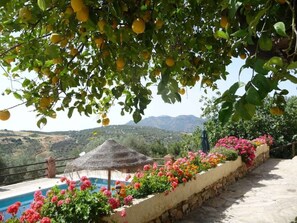 Een buitenzwembad, een verwarmd zwembad