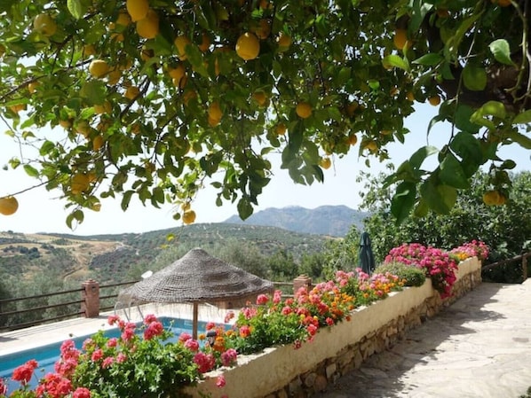 Zona de piscina con pared de piedra, flores coloridas y sombrilla de paja.