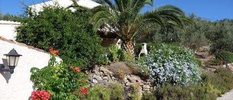 Ein Garten mit weißer Mauer, einer Palme und verschiedenen Pflanzen.