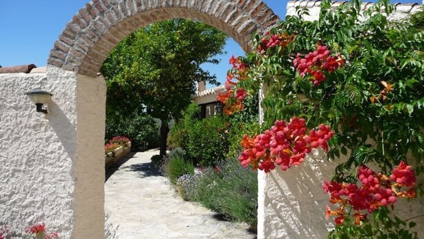 A stone pathway leading through an arched entrance with a white wall and red flowers.