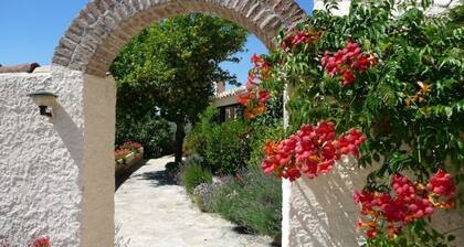 La Molina del Olivar - Peaceful Location