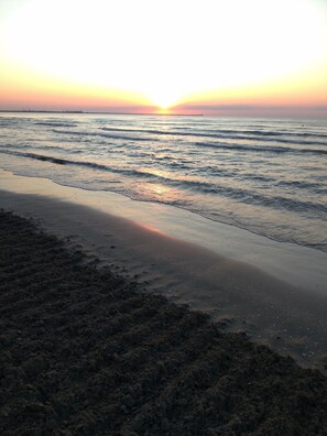 On the beach - 2 apartments, of 2 rooms each, next each other, for max 10 persons, beachfront (Navodari)
