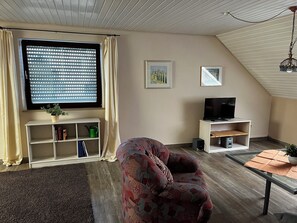 Televisión, libros, estéreo