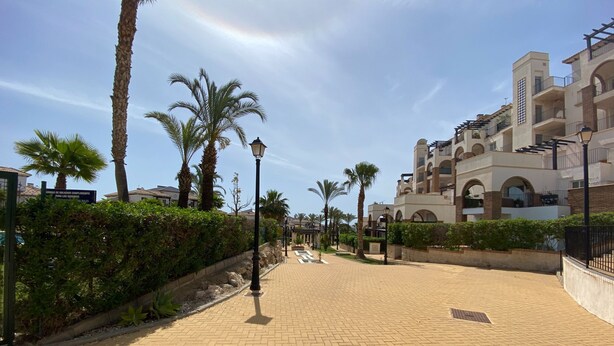 A paved walkway lined with palm trees and a building with multiple balconies and arched windows.