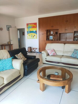 TV, lareira, DVD player, livros