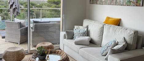 TV, DVD player, books, music library