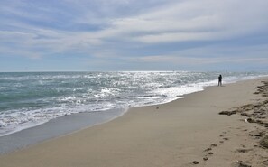 Ubicación cercana a la playa y tumbonas